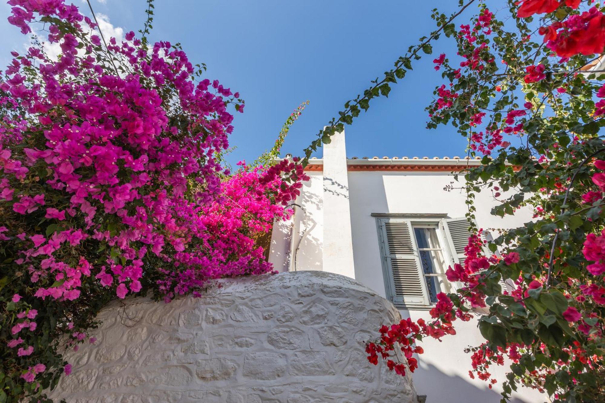 Maison Muse Hydra  Buitenkant foto